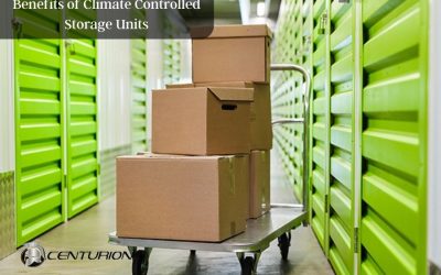 Benefits of Climate Controlled Storage Units