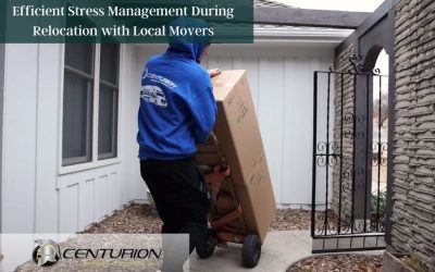 Efficient Stress Management During Relocation with Local Movers