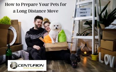 How to Prepare Your Pets for a Long Distance Move