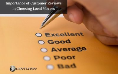 Importance of Customer Reviews in Choosing Local Movers
