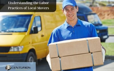 Understanding the Labor Practices of Local Movers